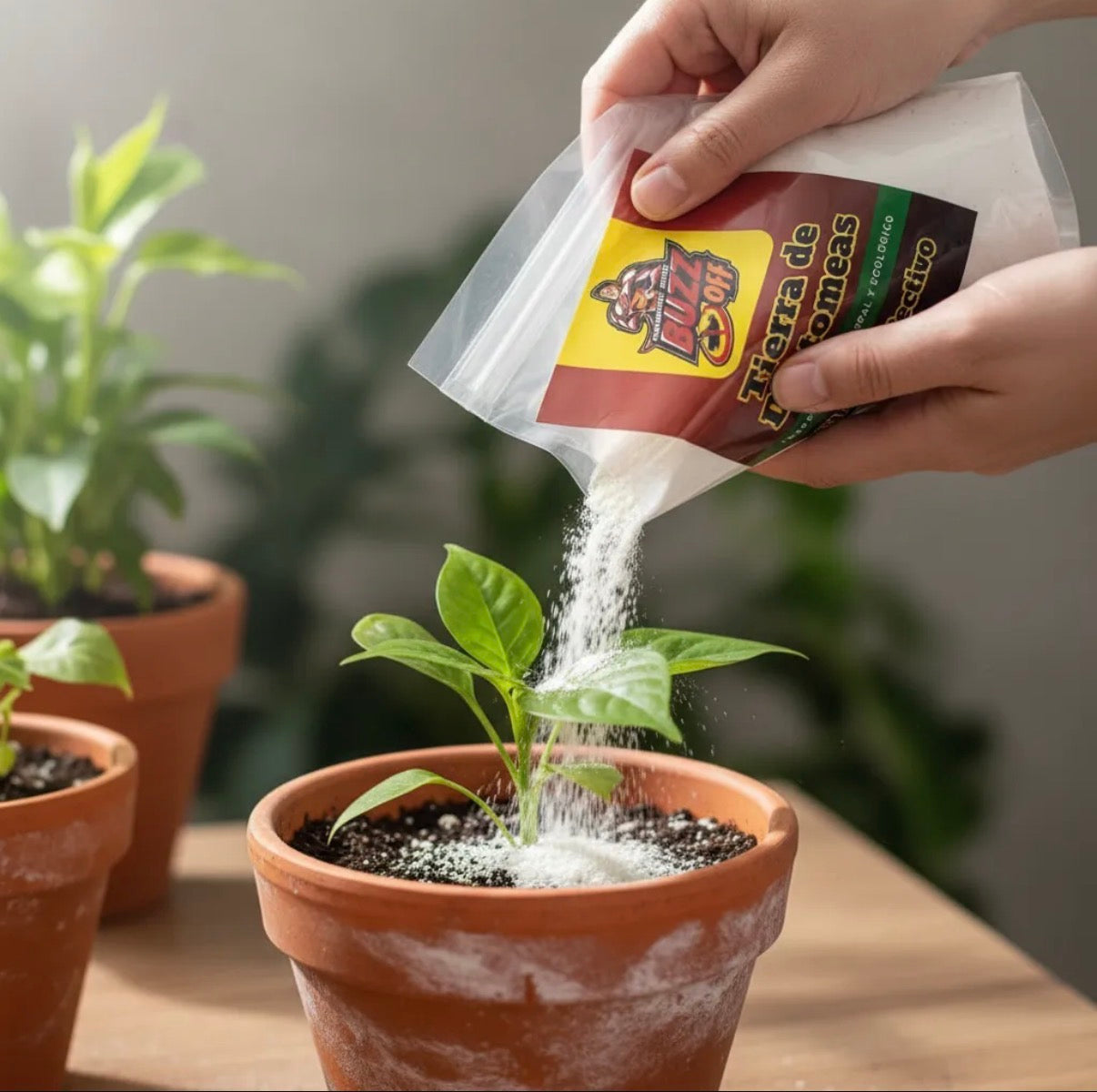 Tierra de Diatomeas Orgánica - Protector e Insecticida Mineral Premium (1 kg)